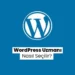 WordPress Uzmanı Nasıl Seçilir_ 2025 Rehberi