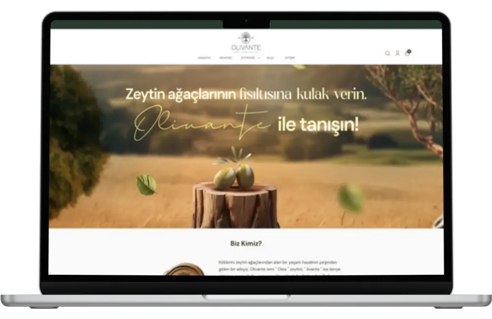 Referanslar Image link